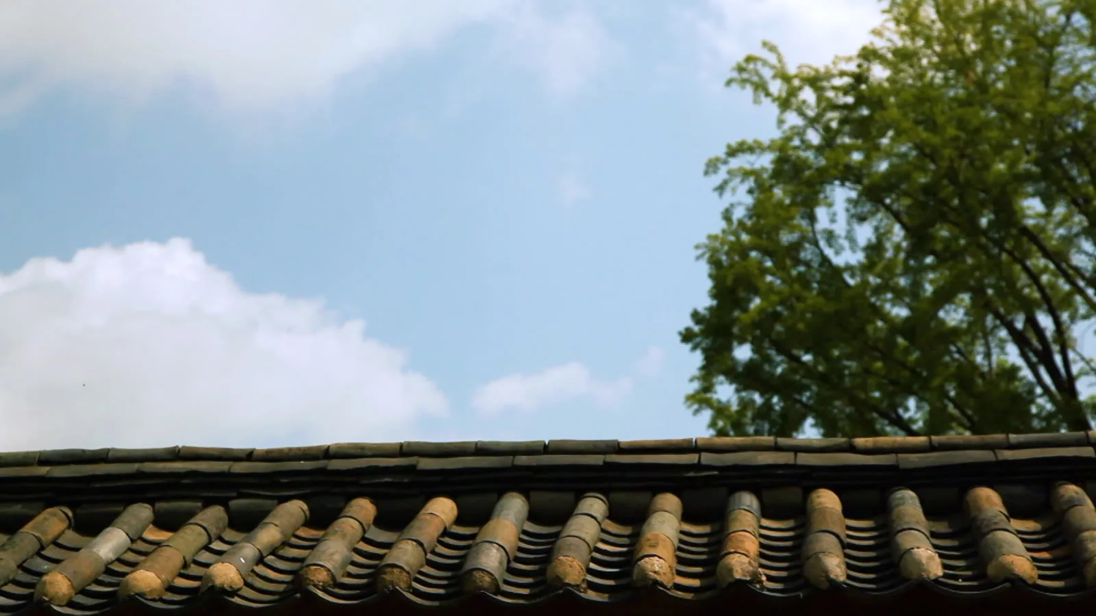 Hanbok Rental in Seoul